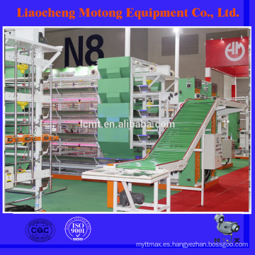 poultry equipment manufacturer from China factory